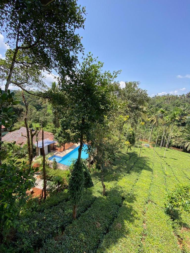 Vythiri Hill Palace Villa Esterno foto