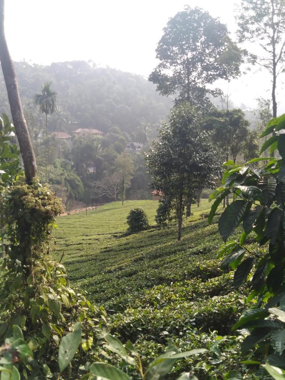 Vythiri Hill Palace Villa Esterno foto